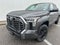2026 Toyota Tundra Hybrid Platinum