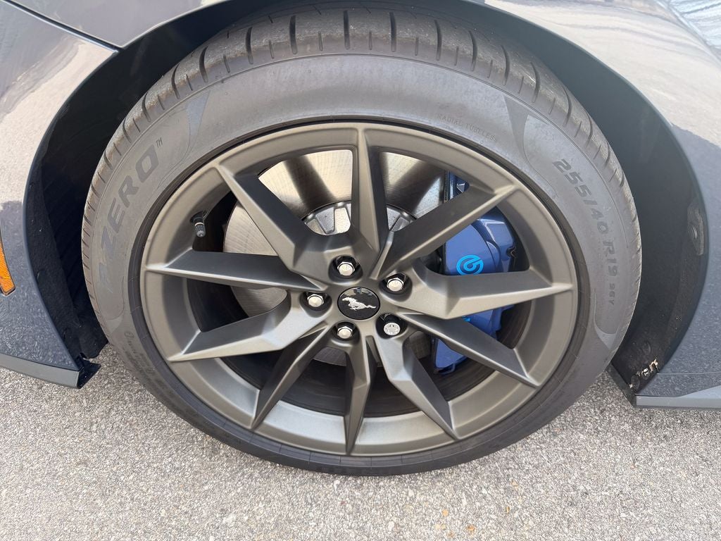 2025 Ford Mustang Dark Horse