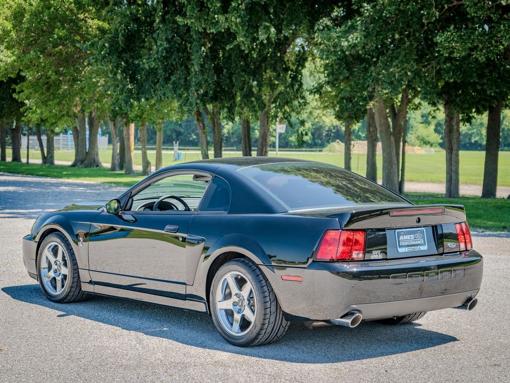 2003 Ford Mustang Terminator Cobra