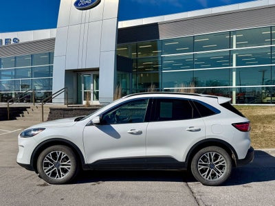 2020 Ford Escape SEL