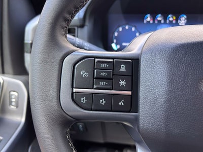 2026 Ford F-150 Black Widow SR PTS