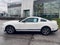 2011 Ford Mustang V6 Premium