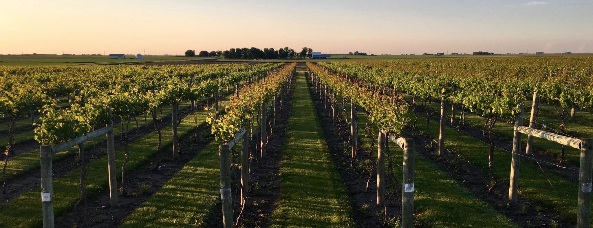 2024 Ford F-150 | Fort Dodge Ford Lincoln Toyota in Fort Dodge IA